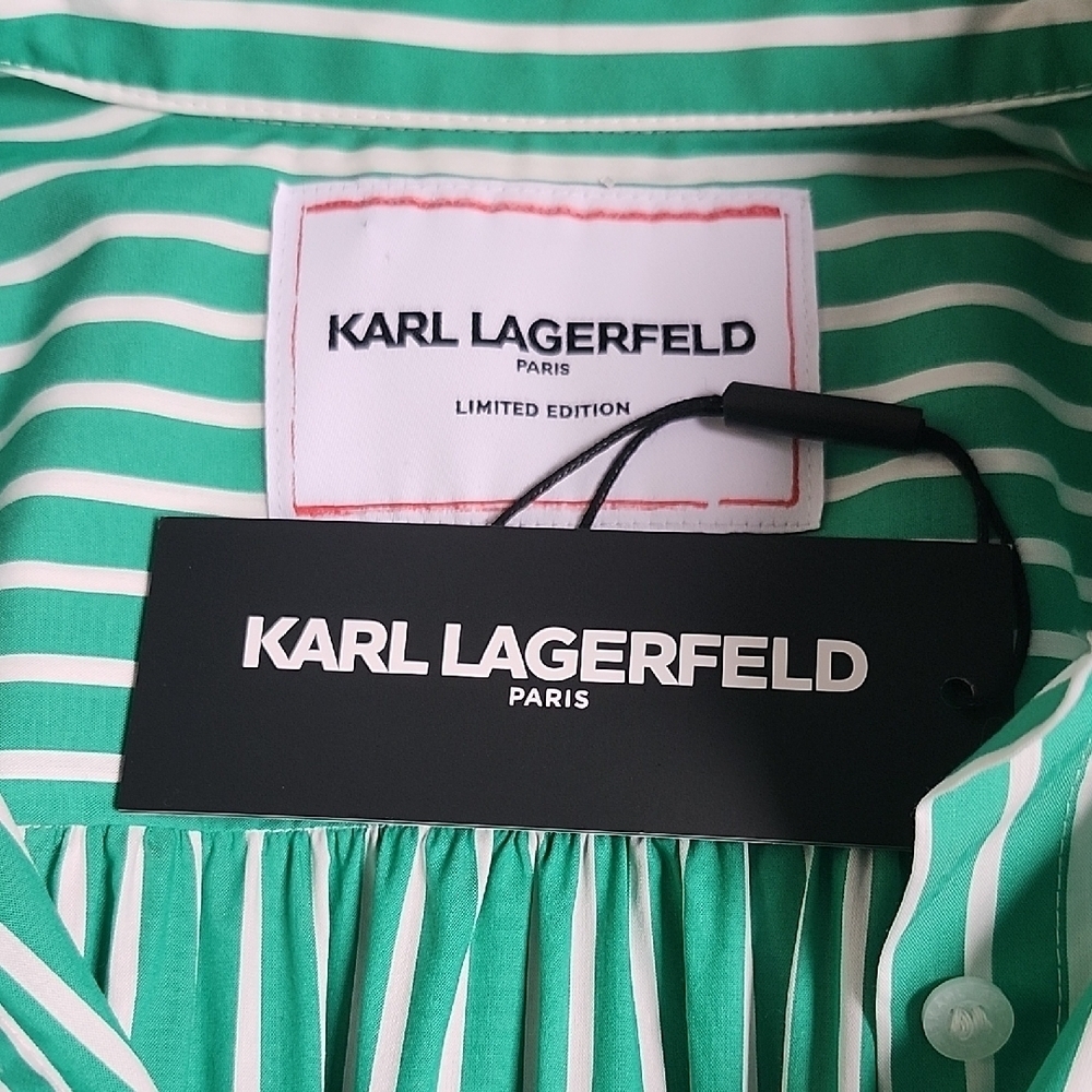 Karl Lagerfeld Green and White Striped Button-Down Shirt - Picture 9 of 14
